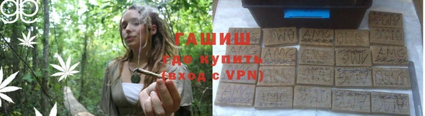 сатива Армянск