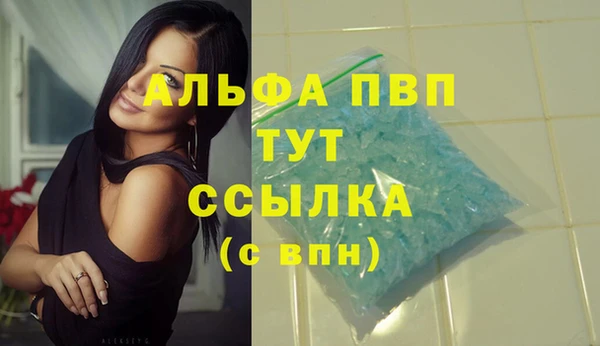 сатива Армянск