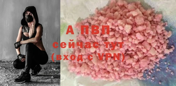 сатива Армянск